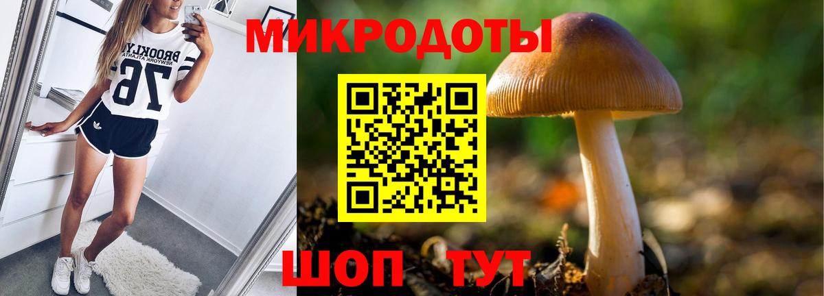 Галлюциногенные грибы ЛСД  Вход с VPN  Коряжма  Псилоцибиновые грибы ЛСД 
